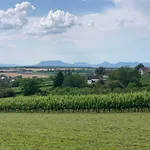 Berkenyes Haziko - Del-balaton