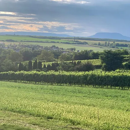 Berkenyes Haziko - Del-balaton Szolosgyorok