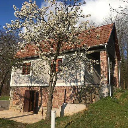 Berkenyes Haziko - Del-balaton * Szolosgyorok