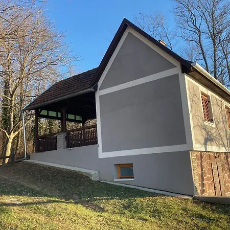Berkenyes Haziko - Del-balaton Daire Szolosgyorok