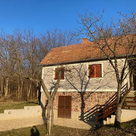Berkenyes Haziko - Del-balaton Daire Szolosgyorok