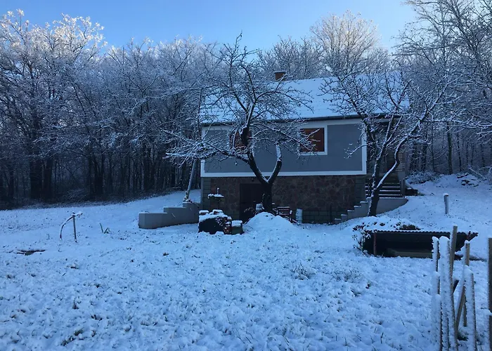 Berkenyes Haziko - Del-balaton דירה