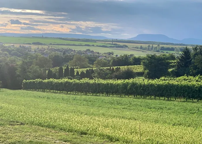Berkenyes Haziko - Del-balaton Szolosgyorok