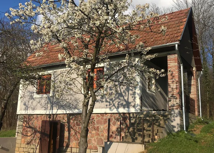 Berkenyes Haziko - Del-balaton * Szolosgyorok