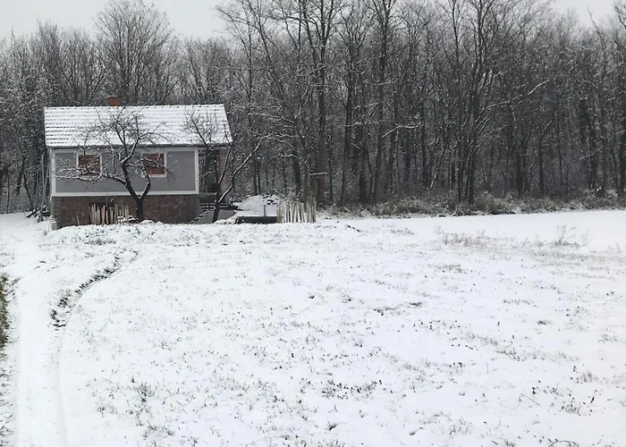 Berkenyes Haziko - Del-balaton דירה