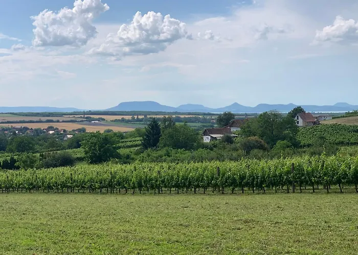 Berkenyes Haziko - Del-balaton
